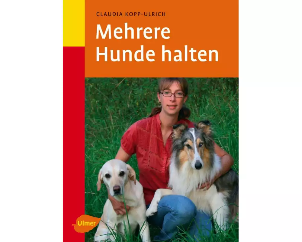 Mehrere Hunde halten