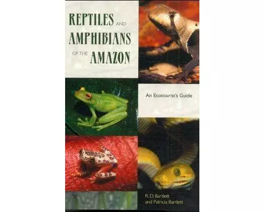 Reptiles and Amphibians of the Amazon