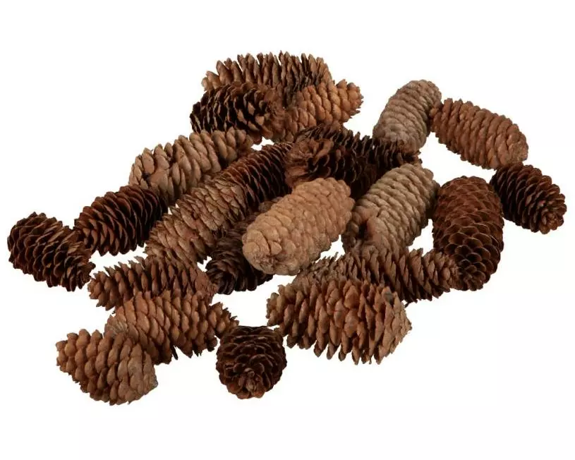 Dekomat AG Tannenzapfen 200 g 7-10 cm