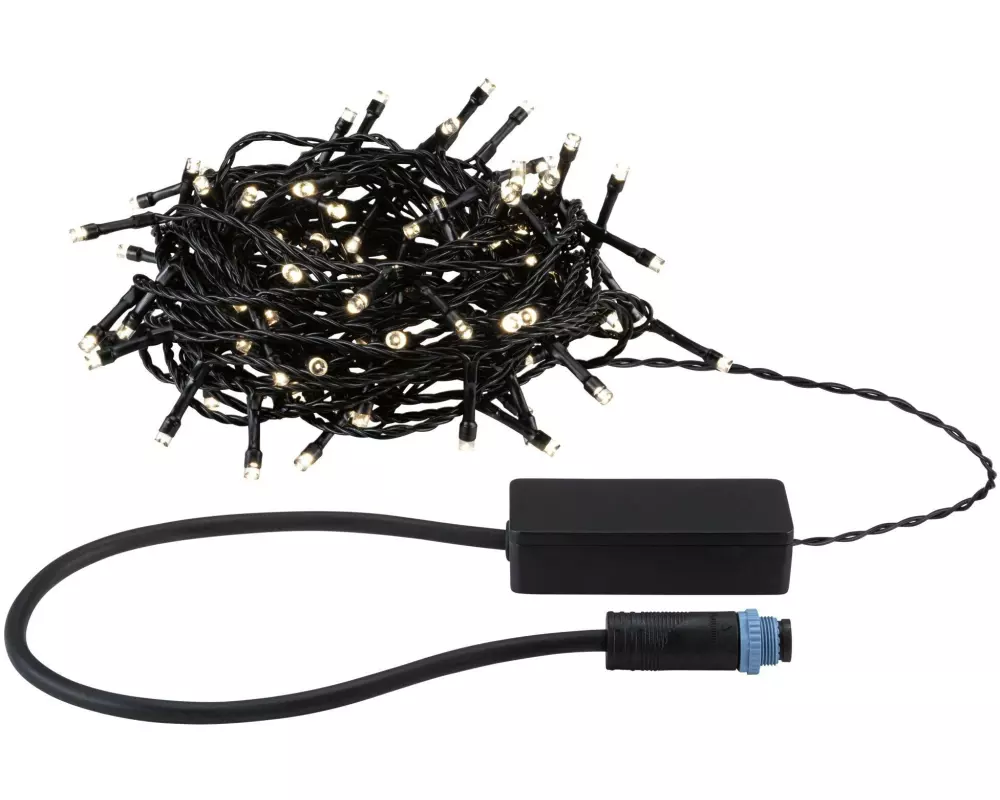 Paulmann LED Lichterkette Plug & Shine Yuna 12.4 m, WW, Schwarz