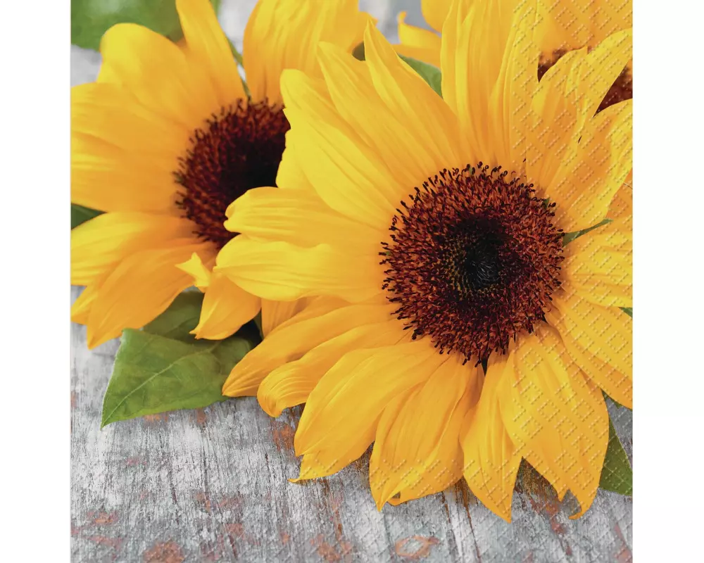 Stewo Papierservietten Isadora 33 cm x 33 cm, 20 Stück, Gelb