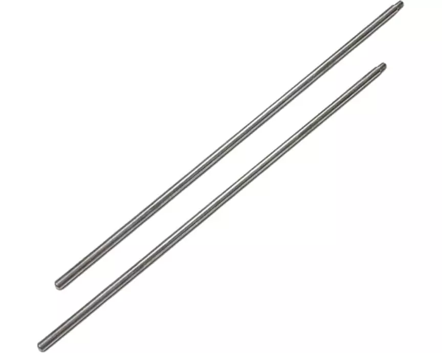 Fyta Bodenstab 11 cm