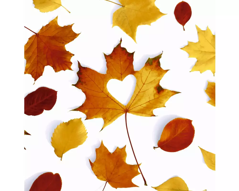 Paper + Design Papierservietten Autumn Love 33 cm x 33 cm, 20 Stück