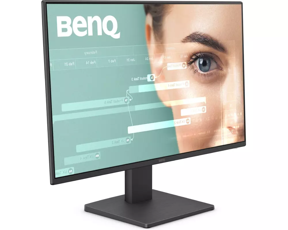 BenQ Monitor GW2491