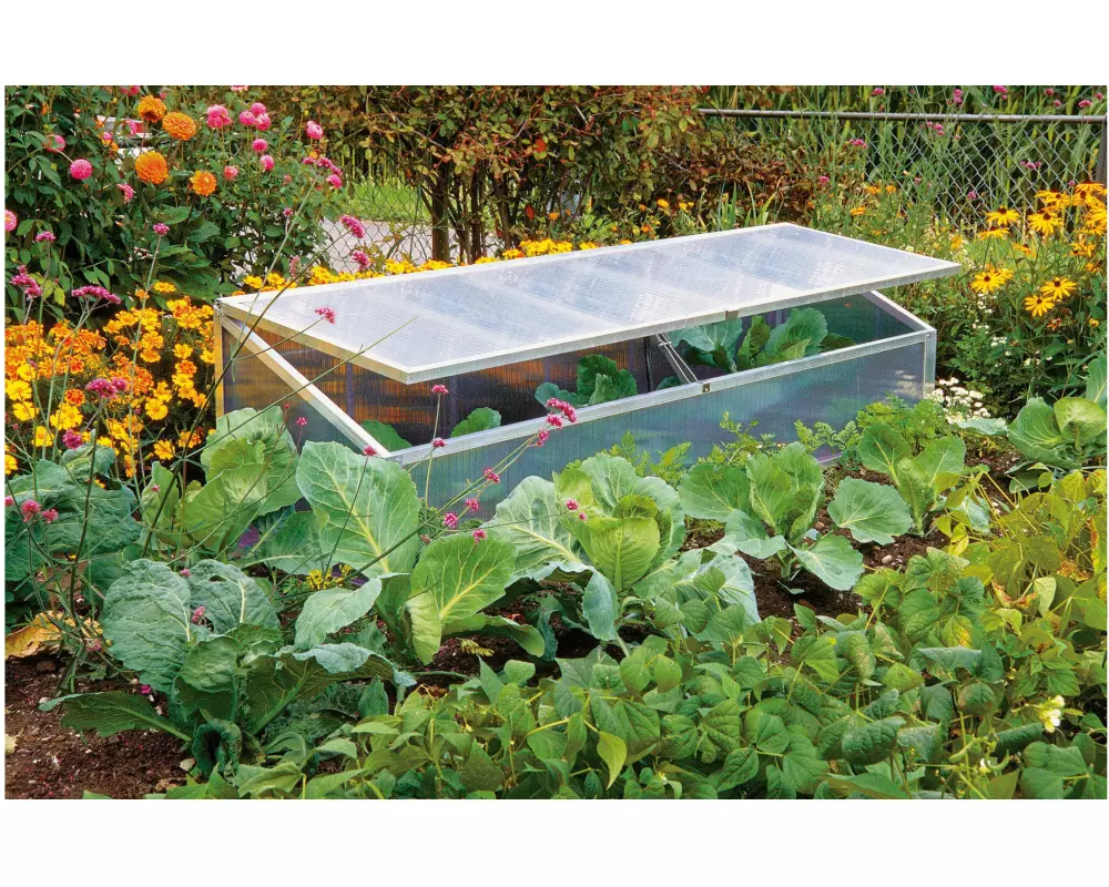 Colibri Frühbeetkasten 206 x 53 x 34/56 cm