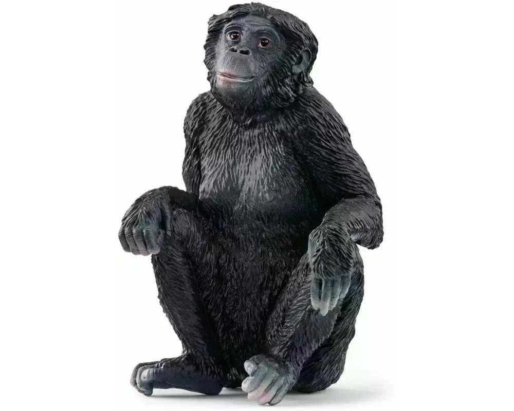 Schleich Spielzeugfigur Wild Life Bonobo Weibchen