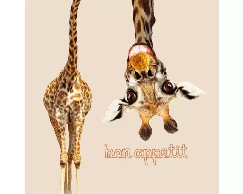 Chic Mic Papierservietten Bon appetit 33 cm x 33 cm, 1 Stück