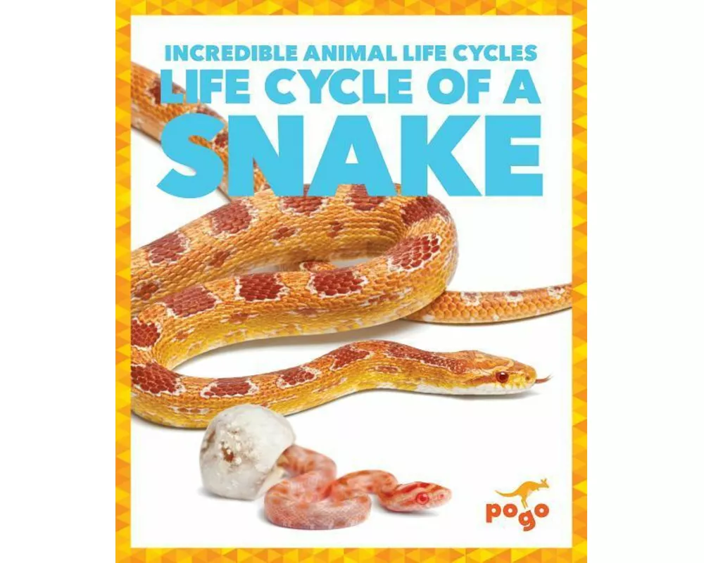 Life Cycle of a Snake