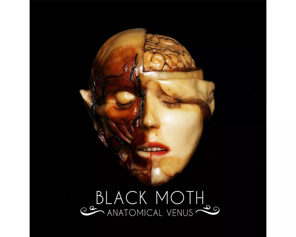 Anatomical Venus