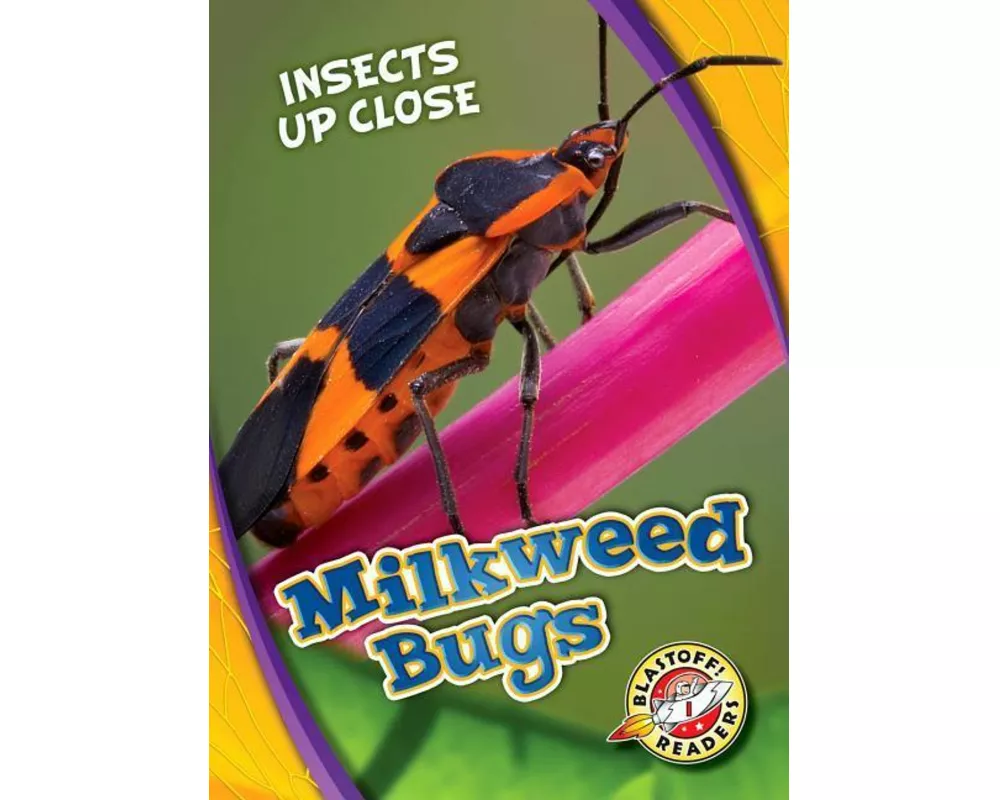 Milkweed Bugs