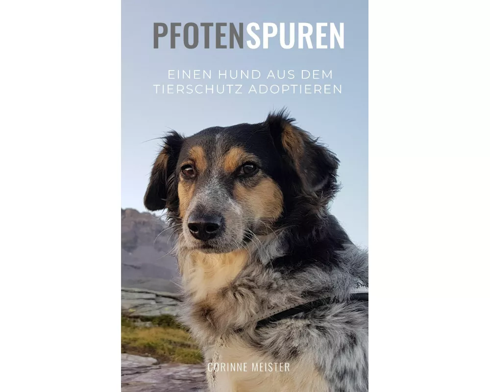 Pfotenspuren