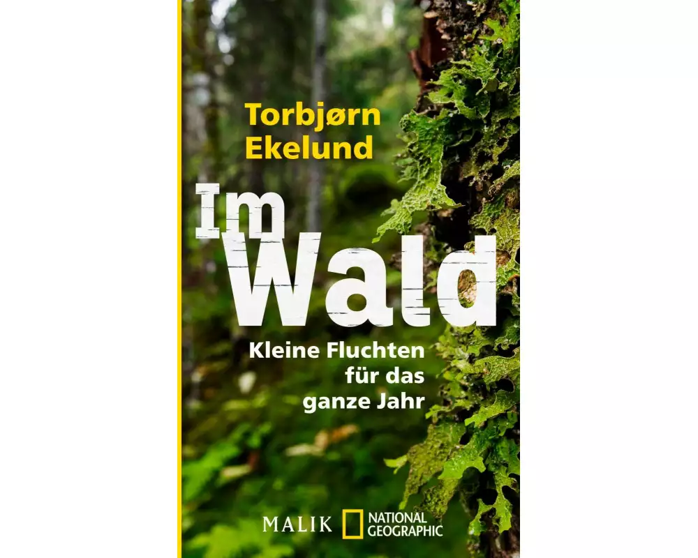 Im Wald