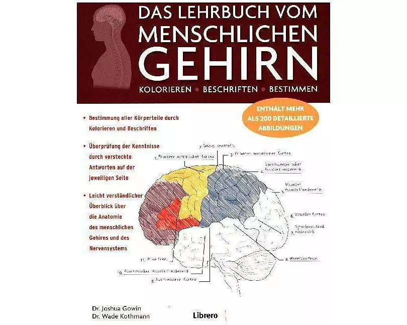 Das Lehrbuch Vom Menschlichen Gehirn