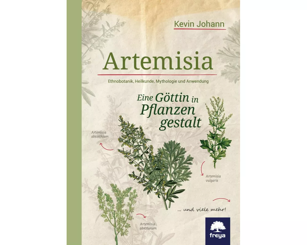 Artemisia