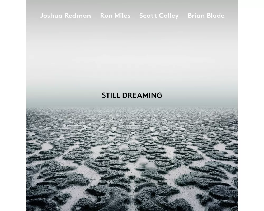 Still Dreaming