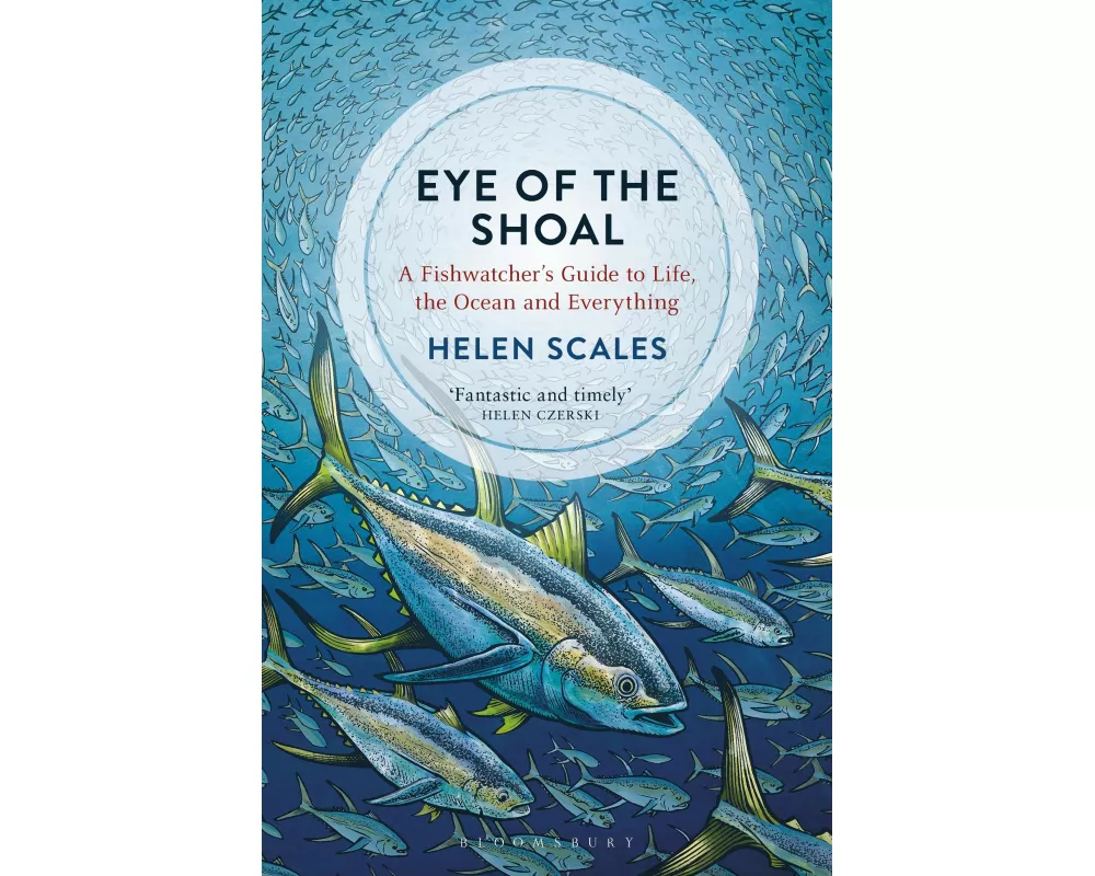 Eye of the Shoal