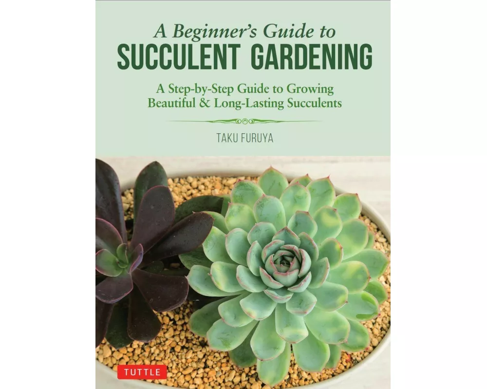 A Beginner's Guide to Succulent Gardening