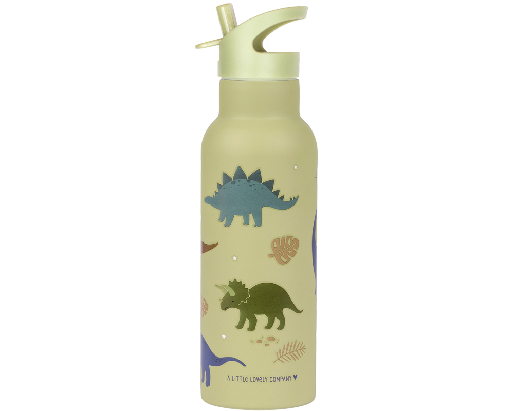 ALLC Trinkflasche XL 500ml DBSXDI75 Dinosaurier