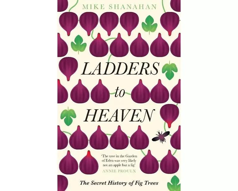Ladders to Heaven