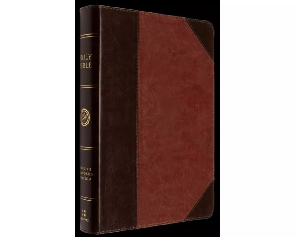 ESV Large Print Wide Margin Bible