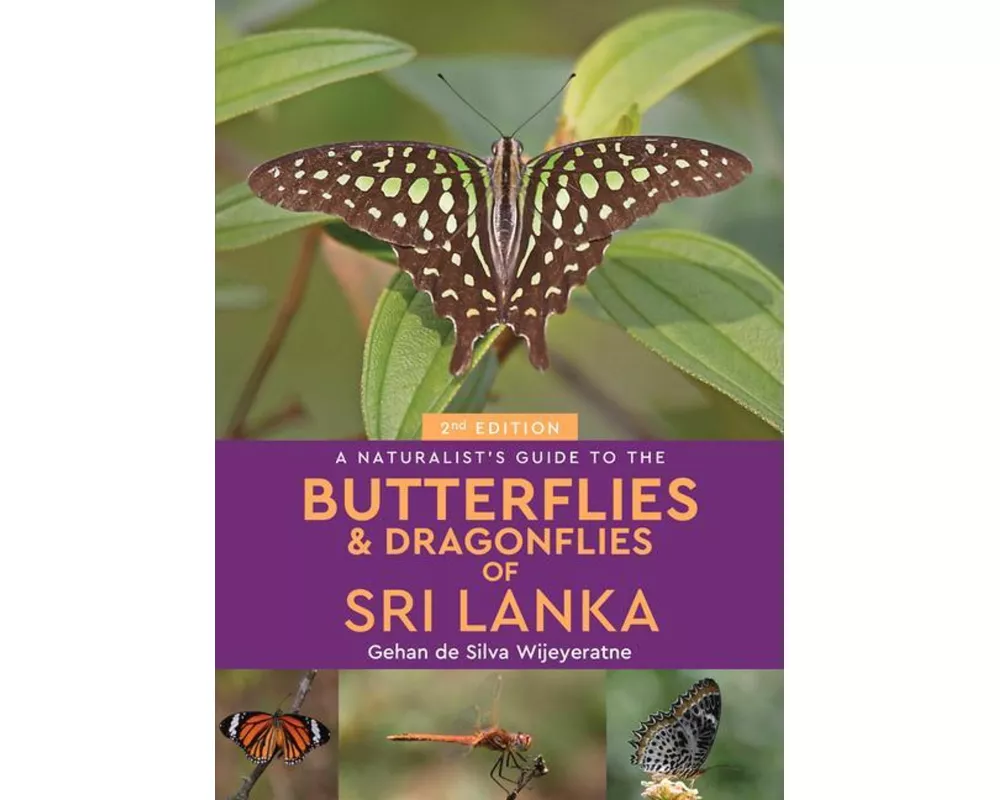 A Naturalist's Guide to the Butterflies of Sri Lanka (2nd edition)