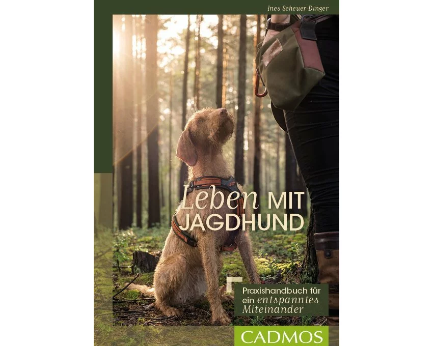 Leben mit Jagdhund