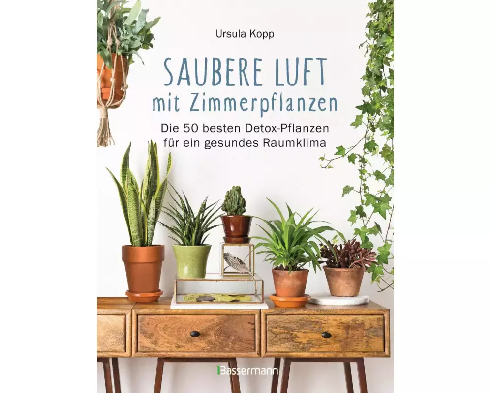 Saubere Luft mit Zimmerpflanzen