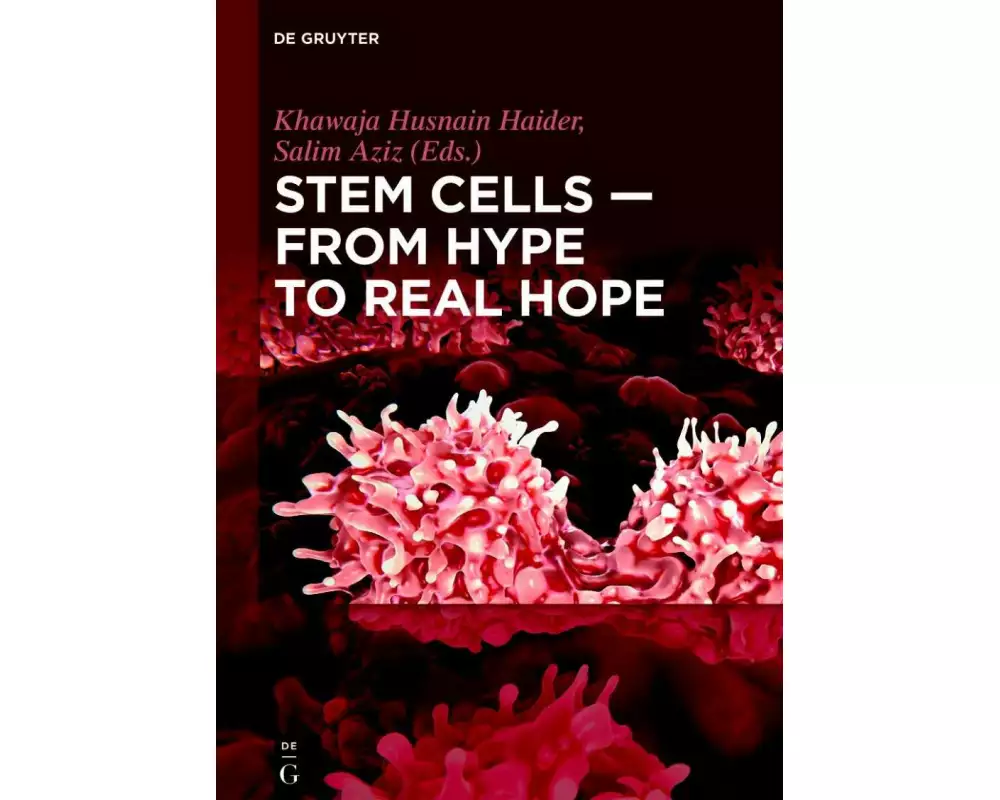 Stem Cells - From Hype to Real Hope