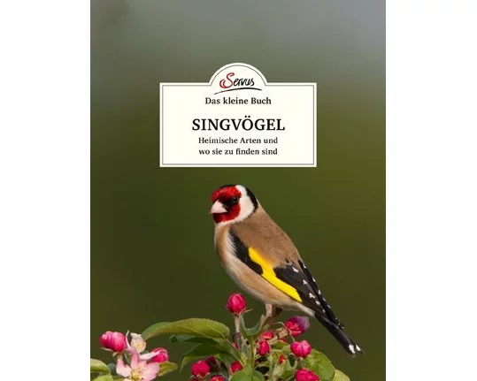 Das kleine Buch: Singvögel