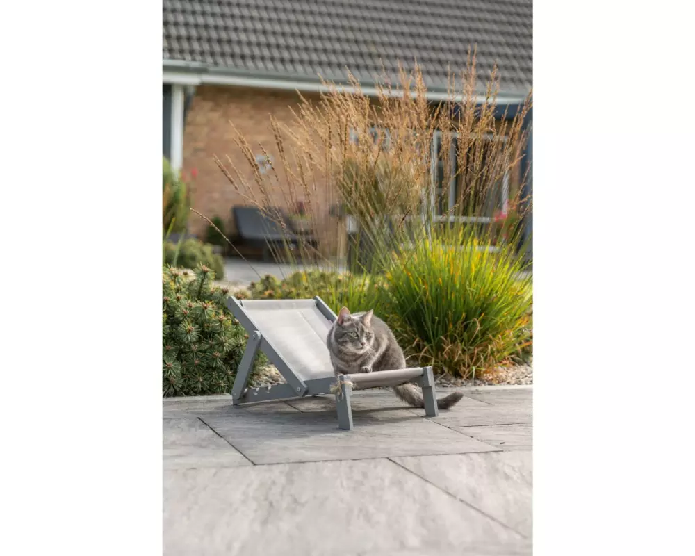 Trixie Strandstuhl Holz 33 x 37 x 51 cm Grau