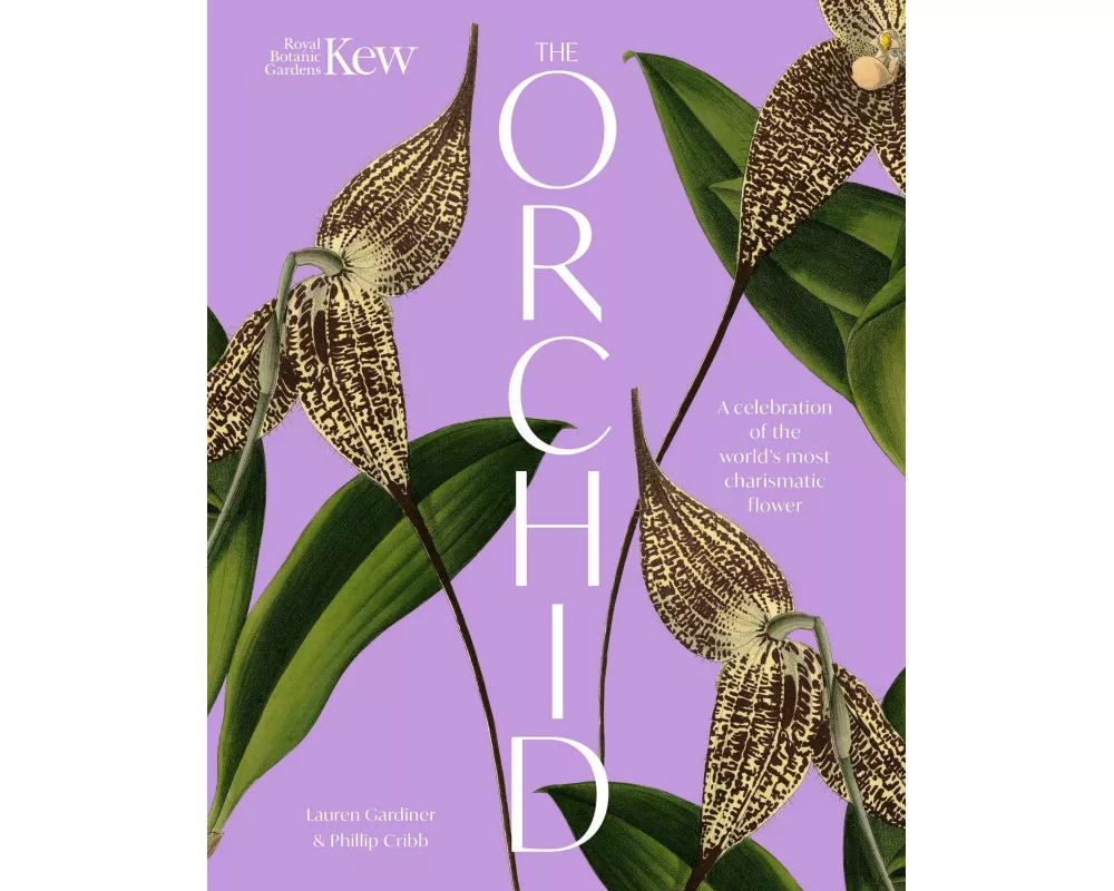 The Orchid
