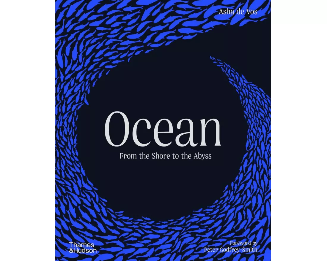Ocean