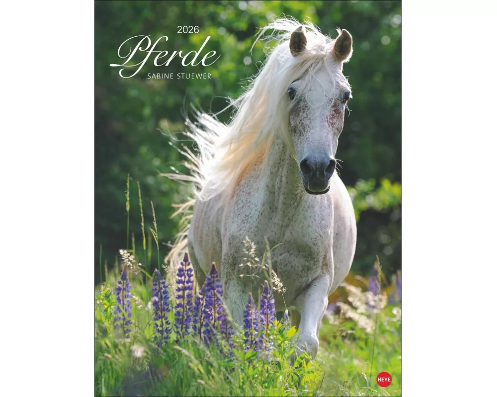 Pferde Classics Posterkalender 2026