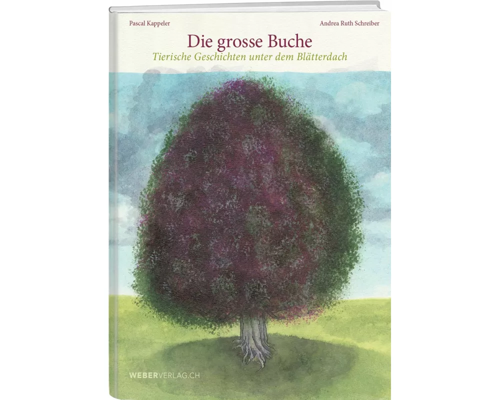 Die grosse Buche
