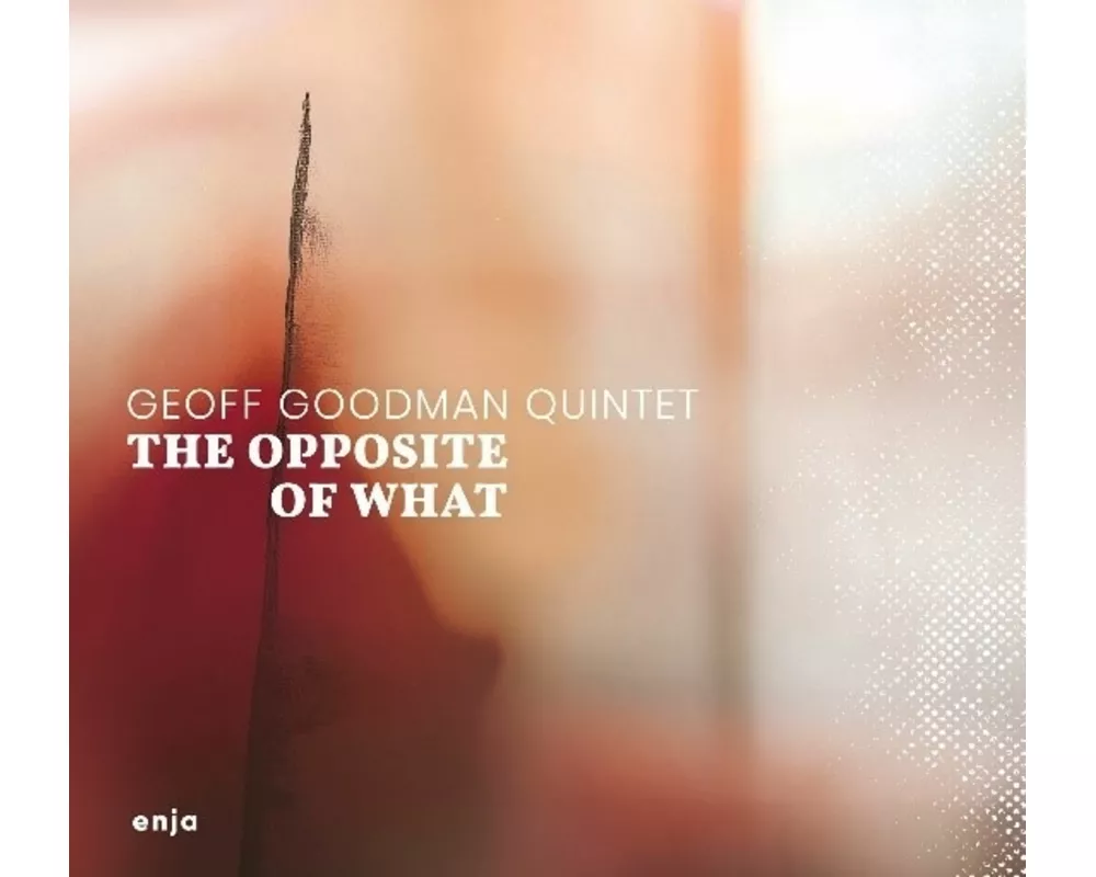 The Opposite Of What