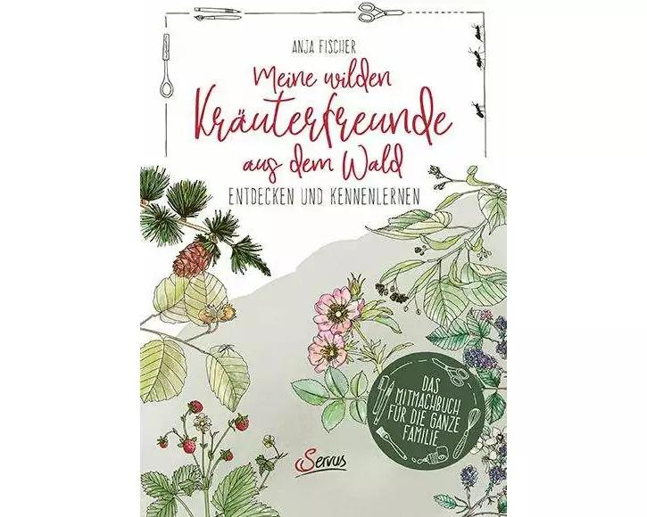 Meine wilden Kräuterfreunde aus dem Wald