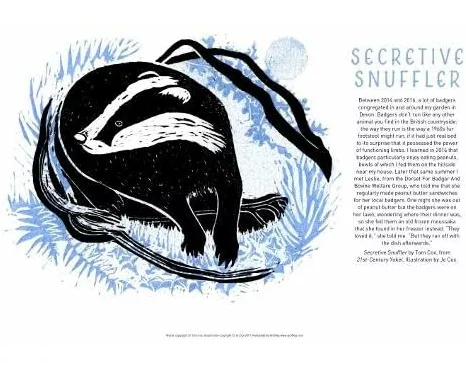 Tom Cox's 21st Century Yokel Poster: Secretive Snuffler