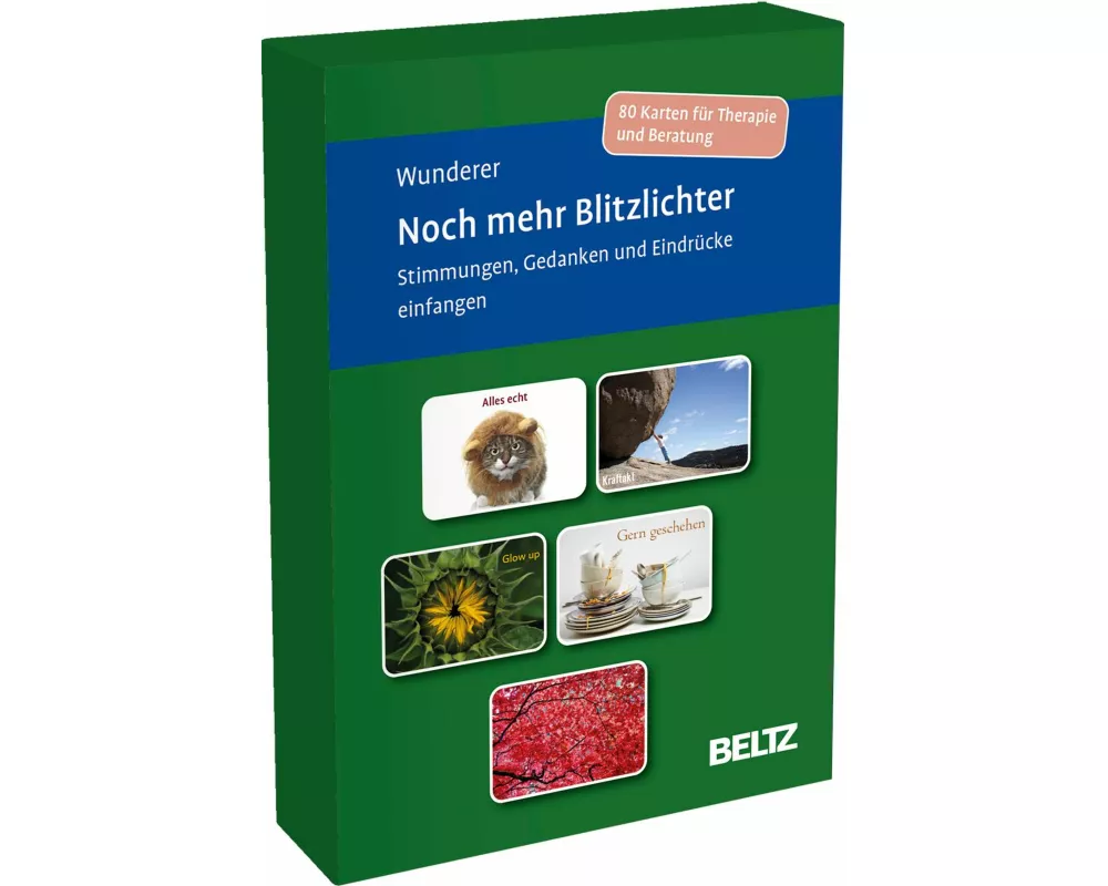 Noch mehr Blitzlichter. Stimmungen, Gedanken und Eindrücke einfangen