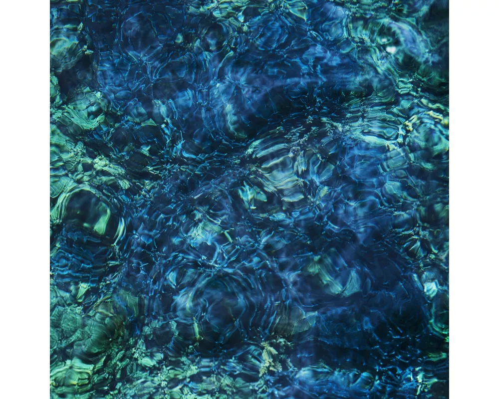 Luminescent Creatures