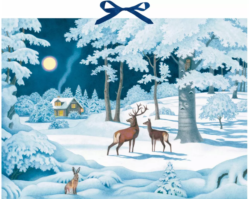 Wand-Adventskalender - Wintertiere bei Nacht