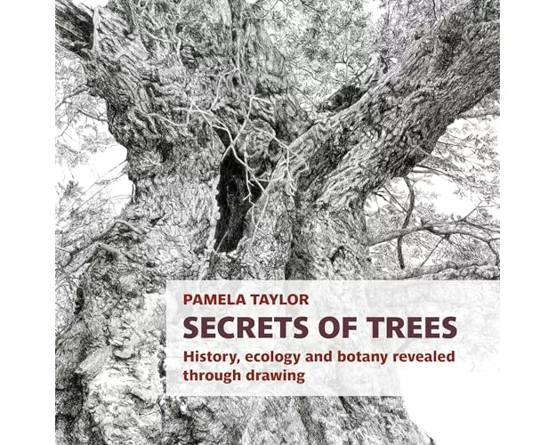 Secrets of Trees
