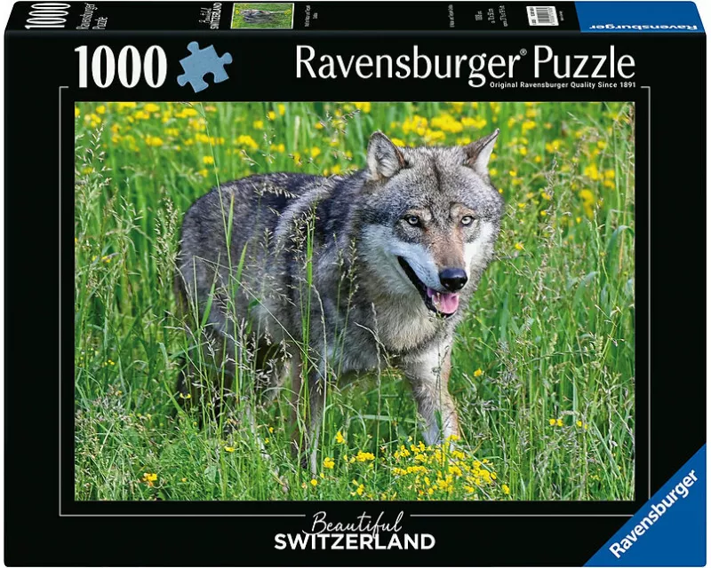 Wolf im Tierpark Goldau