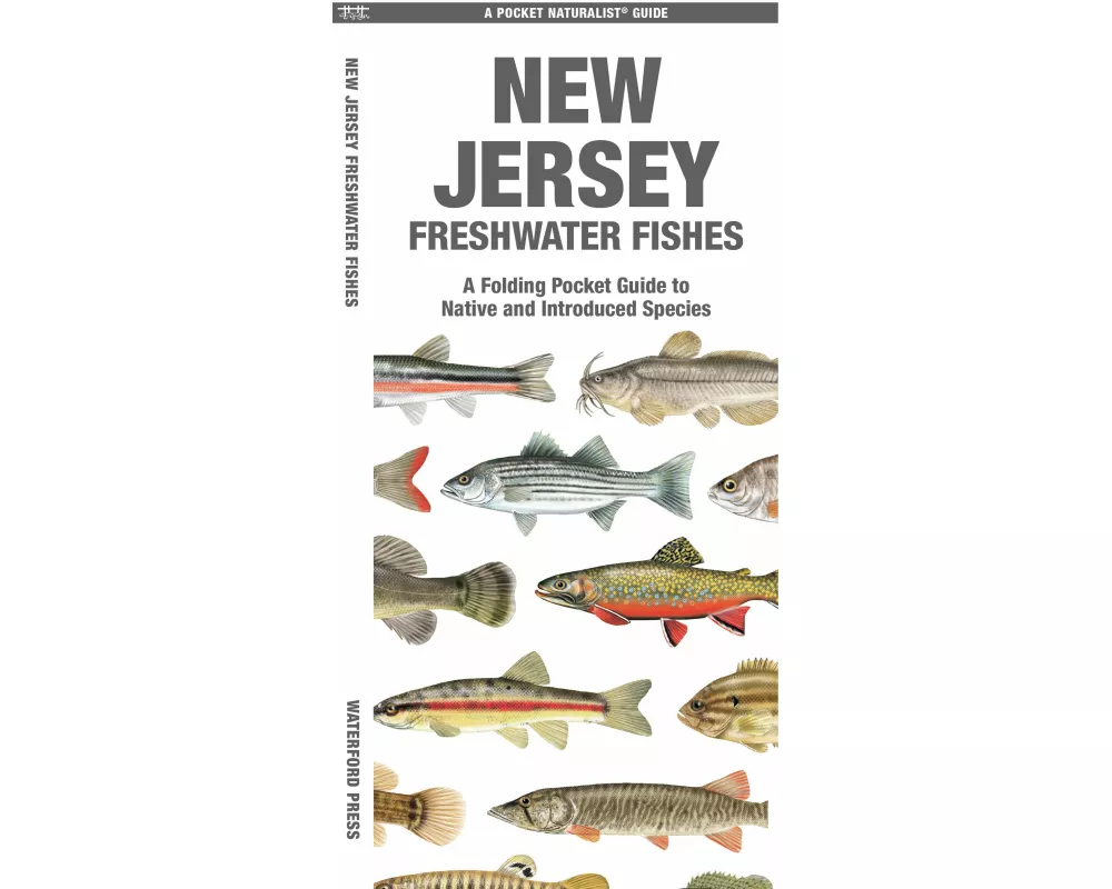 New Jersey Freshwater Fishes