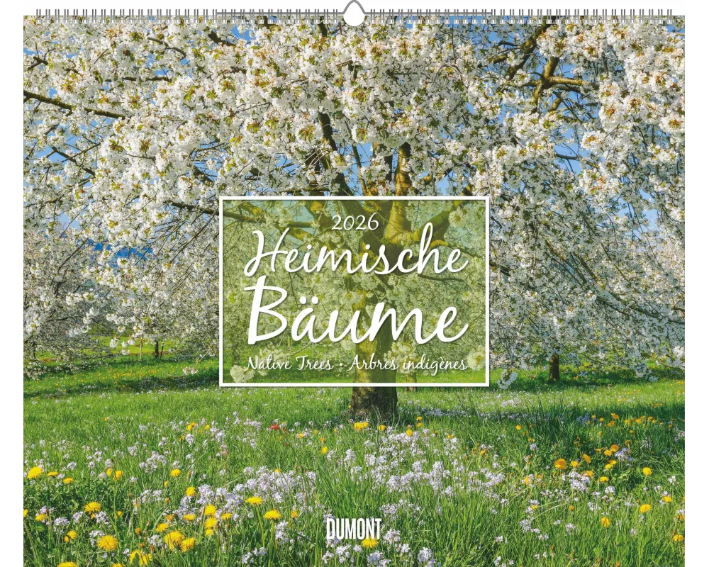 DUMONT - Heimische Bäume 2026 – Wandkalender 60 x 50 cm Naturfotografie, für Naturliebhaber & Gartenfreunde