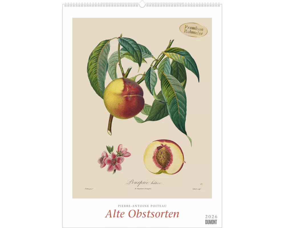 DUMONT - Alte Obstsorten 2026 – Kunst-Posterkalender 50 x 70 cm mit historischen Illustrationen von Pierre Antoine Poiteau für Küche & Esszimmer