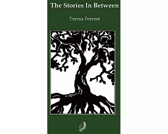 The Stories In Between