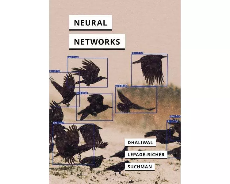 Neural Networks