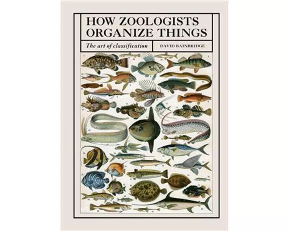 How Zoologists Organize Things