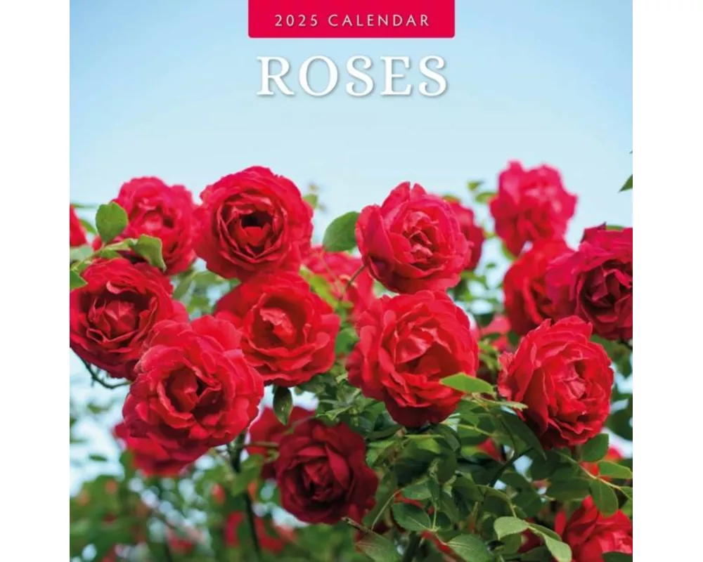 Roses 2025 Square Wall Calendar