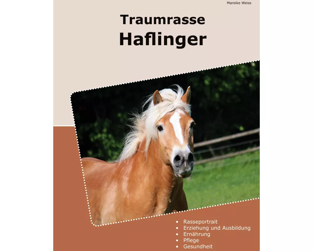 Traumrasse Haflinger